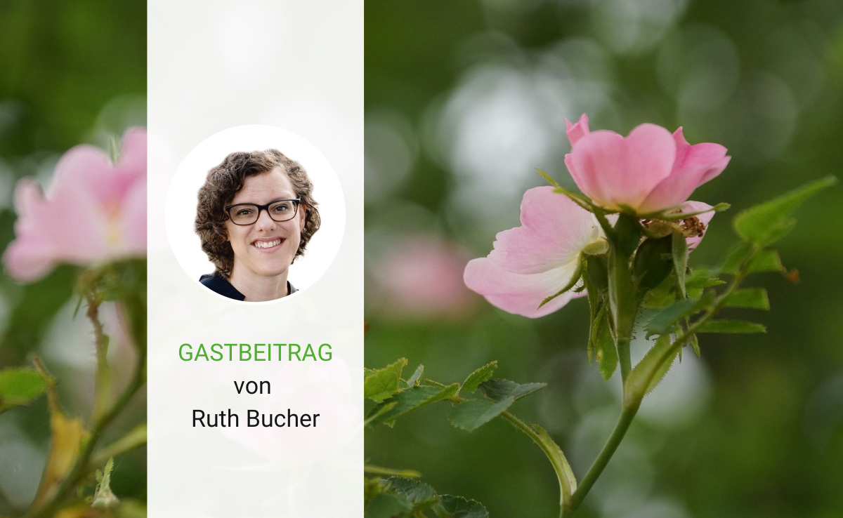 Was nichts kostet, ist eben manchmal doch etwas wert