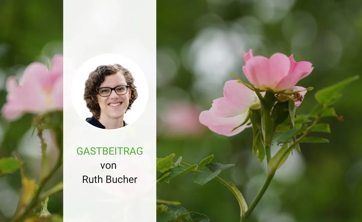 Artikel_Gastbeitrag_BauZ_Bucher Was nichts kostet, ist eben manchmal doch etwas wert