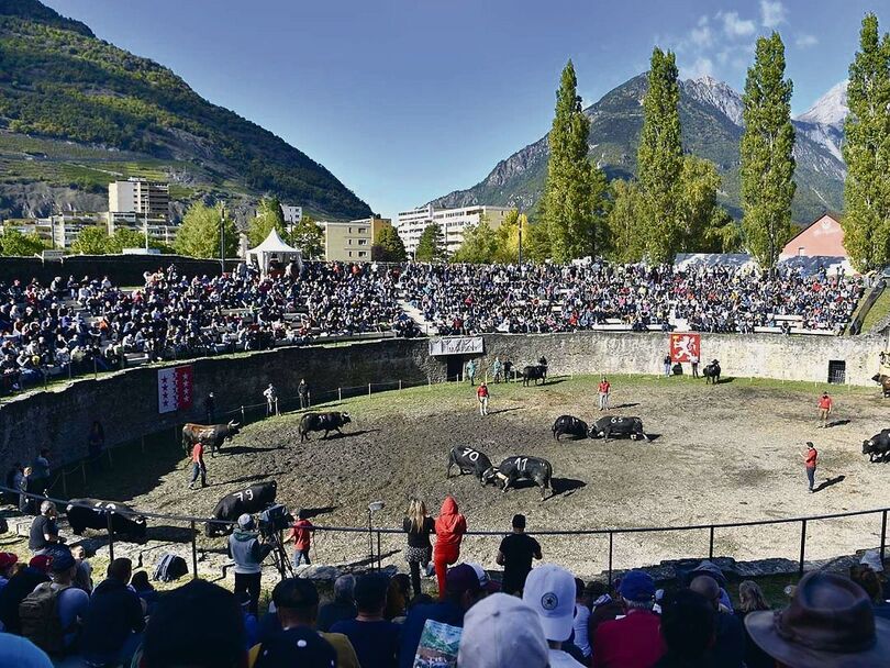 Während der Mittagspause kam es in der Arena in Martigny zu einem Protest.