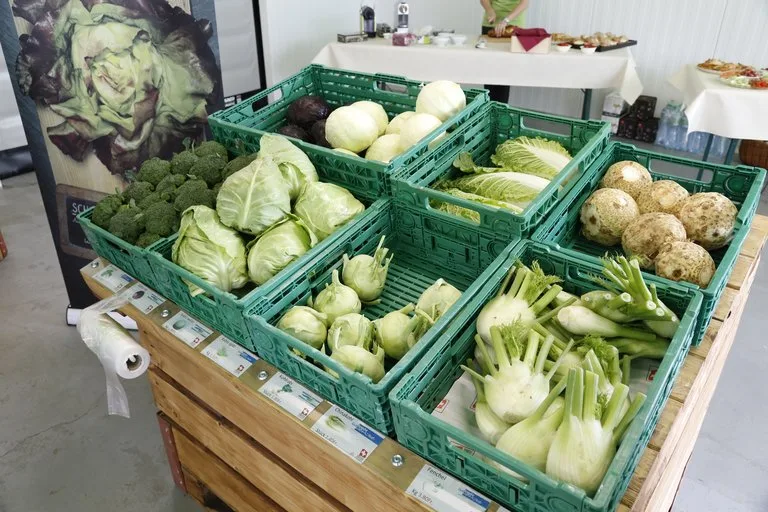 b34bcb3c7ff3e670c7ce3cfc1c6dbe00e0240ddd Ist das Gemüse unverpackt, so halten es viele Konsumenten für wertiger, wie die Umfrage zeigt. Sie bevorzugen es auch, weil die Menge so besser den Bedürfnissen angepasst werden kann. (Bild Jonas Ingold)