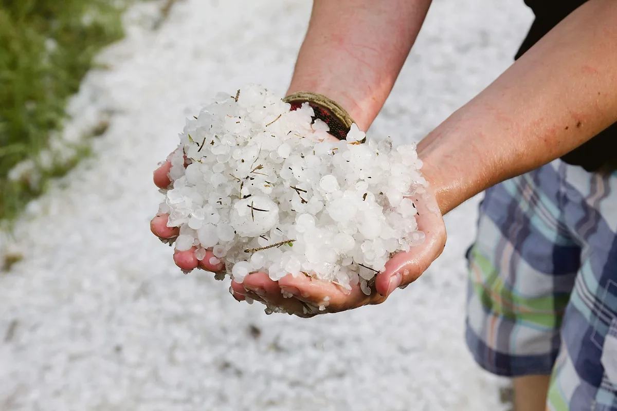 2192713bad176fc8f2ea930cca8594f0bcbafce5 In weiten Teilen der Schweiz hat der Hagel diesen Sommer bereits grossen Schaden angerichtet. (Bild Adobe Stock)