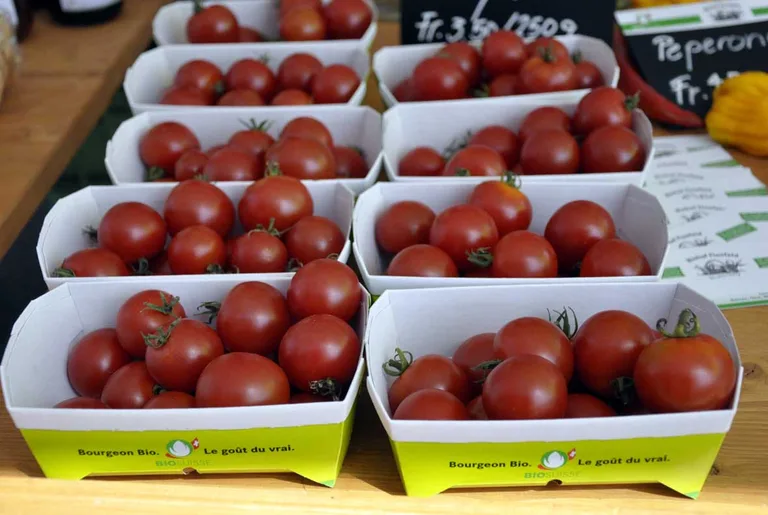 7ccdf4625313c6e27ad073ea3b69214c4341ddab Bio-Gemüse wie Tomaten verkauft sich gut. (Bild Bio Suisse)