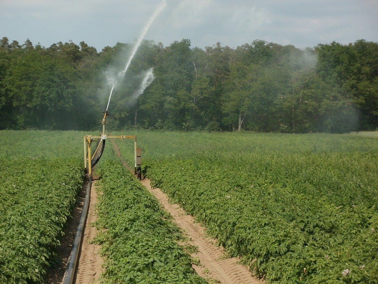 Online-Seminar zu den Herausforderungen in der Wassernutzung