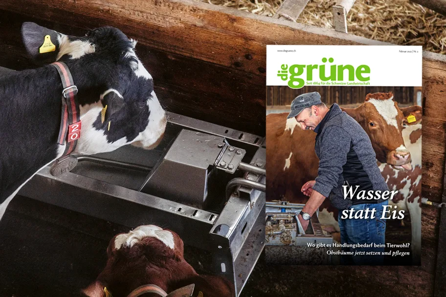 dg_22-02_3zu2_titelbild «die grüne» im Februar 2022 – Wasser statt Eis