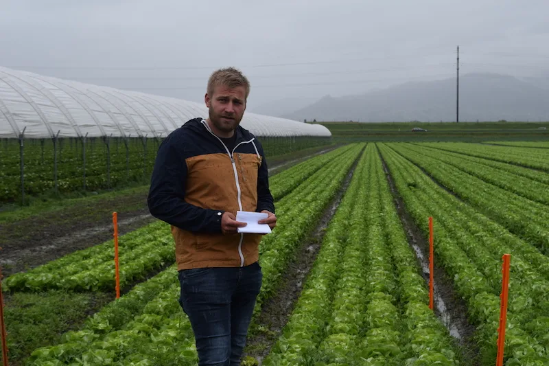 4427fccf2b95a02eea663237e7abede6c3a43902 Florian Gasser in einem Salatfeld. Er befürchtet, dass er bei einer Annahme der Initiativen die gewünschte Produktqualität nicht mehr gewährleisten könnte. (Bilder Stefanie Giger)