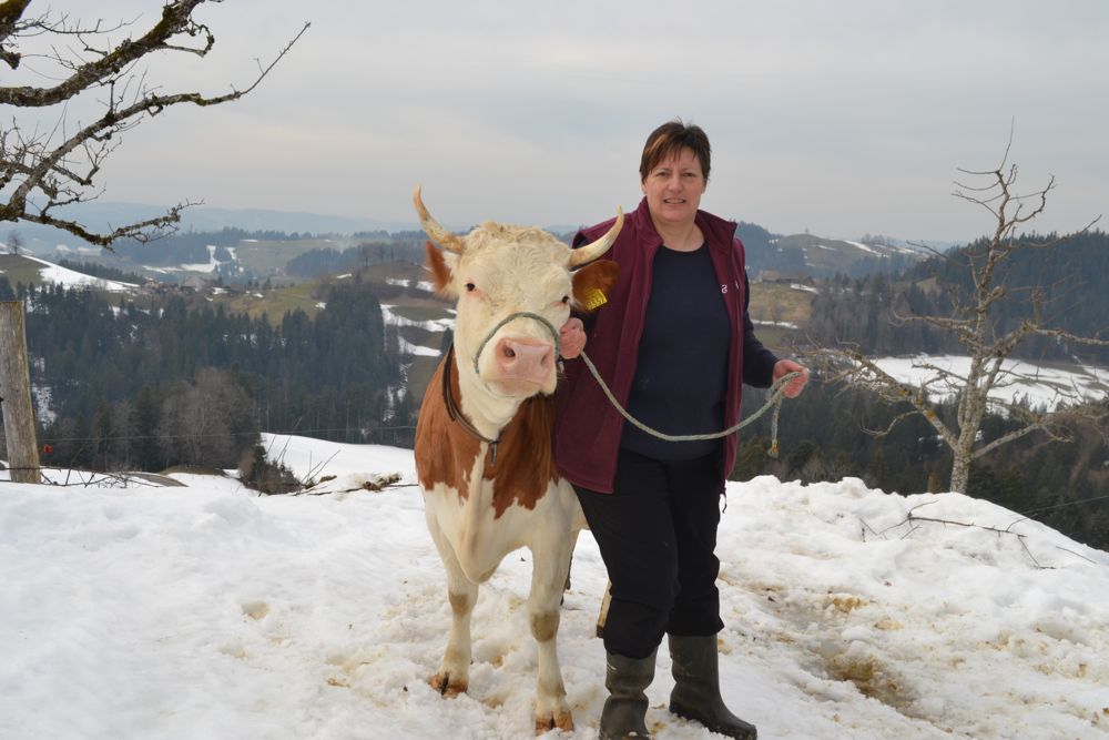Kathrin Berger aus dem emmentalischen Oberfrittenbach BE ist Präsidentin des Schweizerischen Hinterwälder-Zuchtvereins. Sie ist eine leidenschaftliche Züchterin. An der Halfter hält sie die Falber-Tochter Luana, welche in der ersten Laktation mit 83 Punkten beurteilt wurde. Heinz Dubler ... (Bilder Peter Fankhauser)