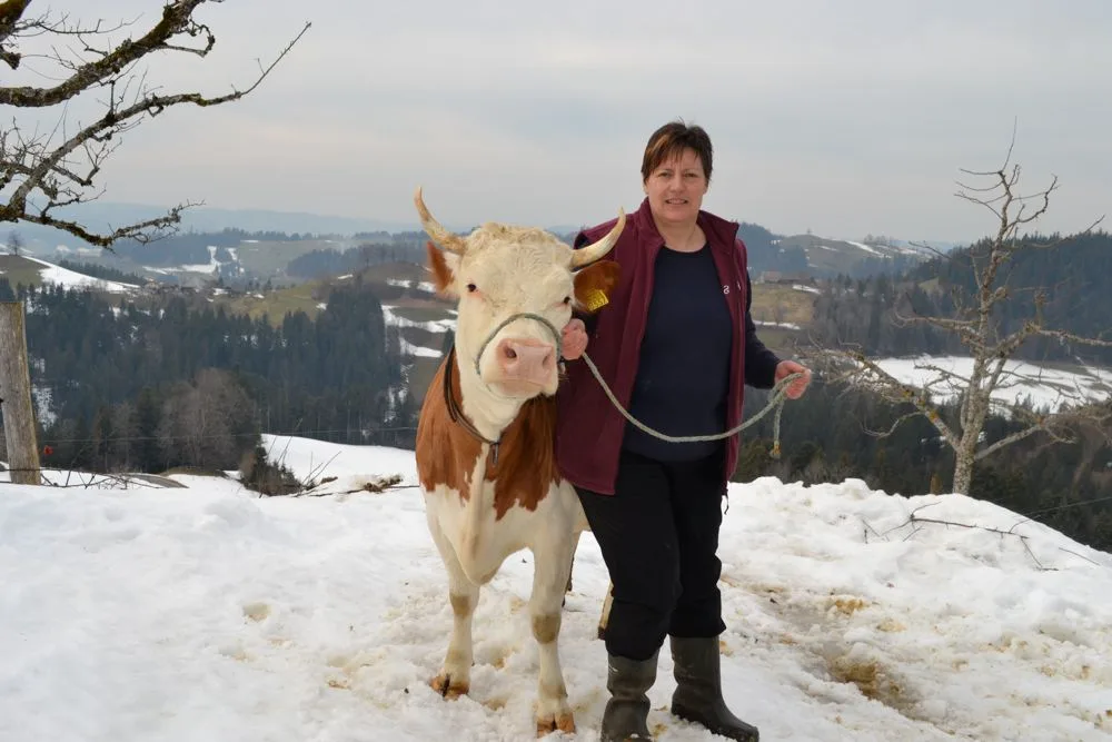 c97068749c6f883b076fb4ffbb8893677a7b3f23 Kathrin Berger aus dem emmentalischen Oberfrittenbach BE ist Präsidentin des Schweizerischen Hinterwälder-Zuchtvereins. Sie ist eine leidenschaftliche Züchterin. An der Halfter hält sie die Falber-Tochter Luana, welche in der ersten Laktation mit 83 Punkten beurteilt wurde. Heinz Dubler ... (Bilder Peter Fankhauser)