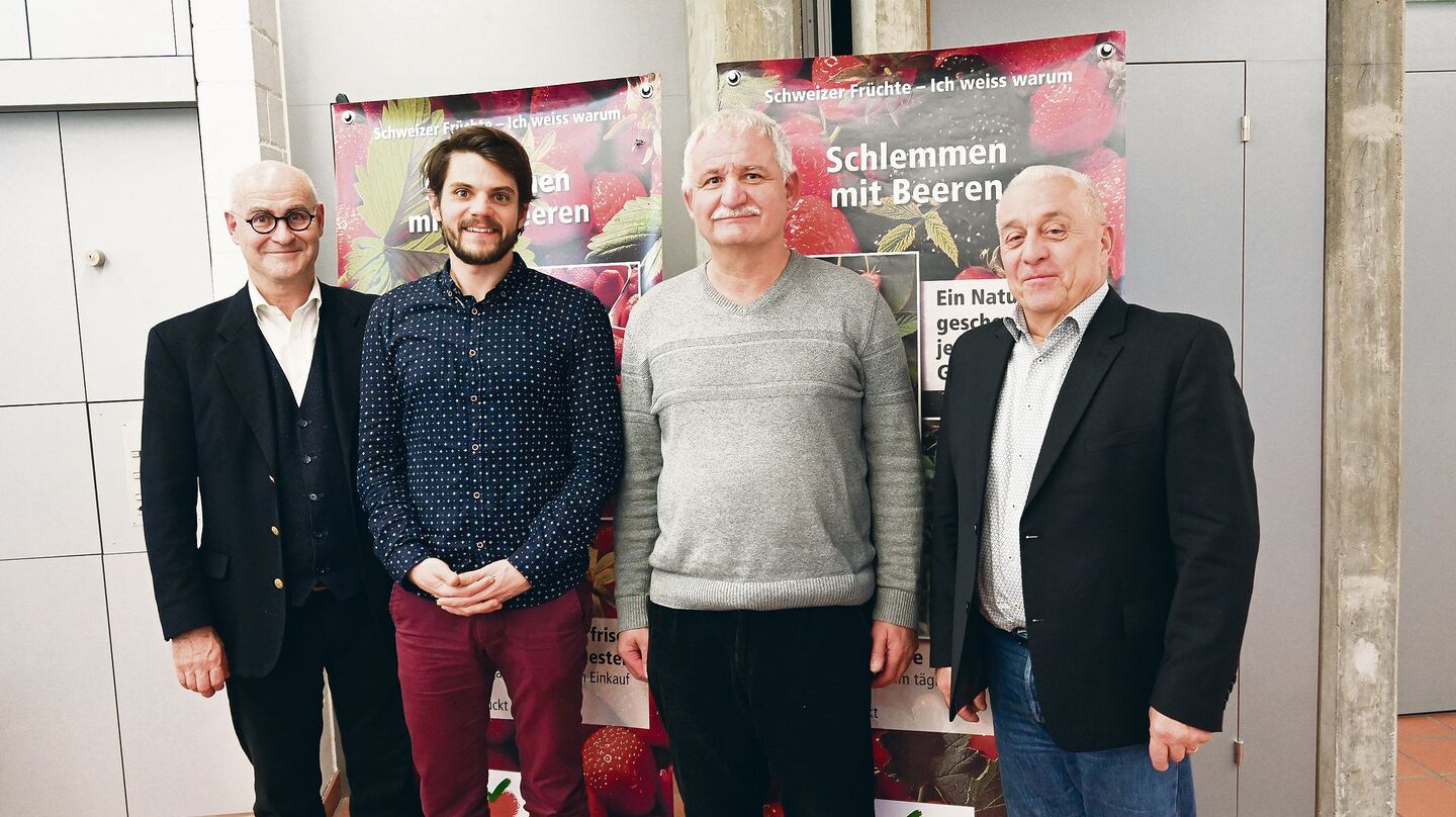 Nebst den Infos von Max Kopp (links) und Hubert Zufferey (rechts) gaben Louis Sutter (2. v. l.) und André Ançay (2. v. r.) von Agroscope Conthey Einblick ins Sortenscouting.