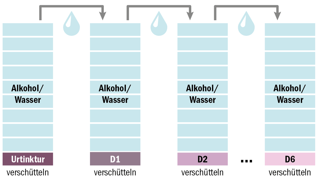 Potenzieren von Tinkturen leicht erklärt