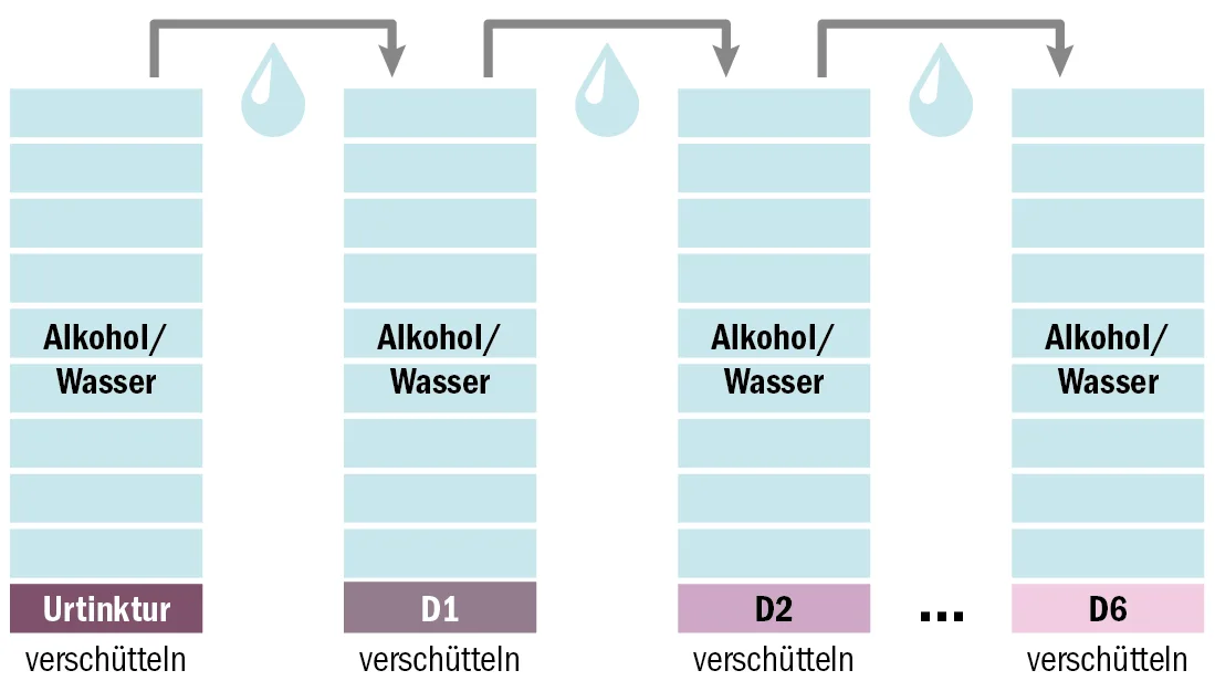 BZ-TDW-14-Kasten1_Grafik Potenzieren von Tinkturen leicht erklärt