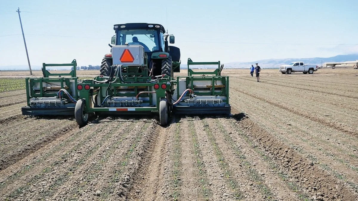 deb8100aaed2d2bcc8b7a35c73bec2dc616ba1fc Der Ausdünnungs-Roboter auf den Betteravia Farms erkennt die zu pikierenden Pflanzen und besprüht sie je nachdem mit Flüssigdünger oder mit einem Fungizid. Bild: David Eppenberger