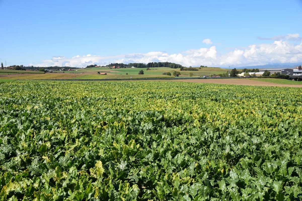 «Junge Landwirtinnen und Landwirte sollen sich wieder auf das Berufsleben freuen können», sagt Katja Riem