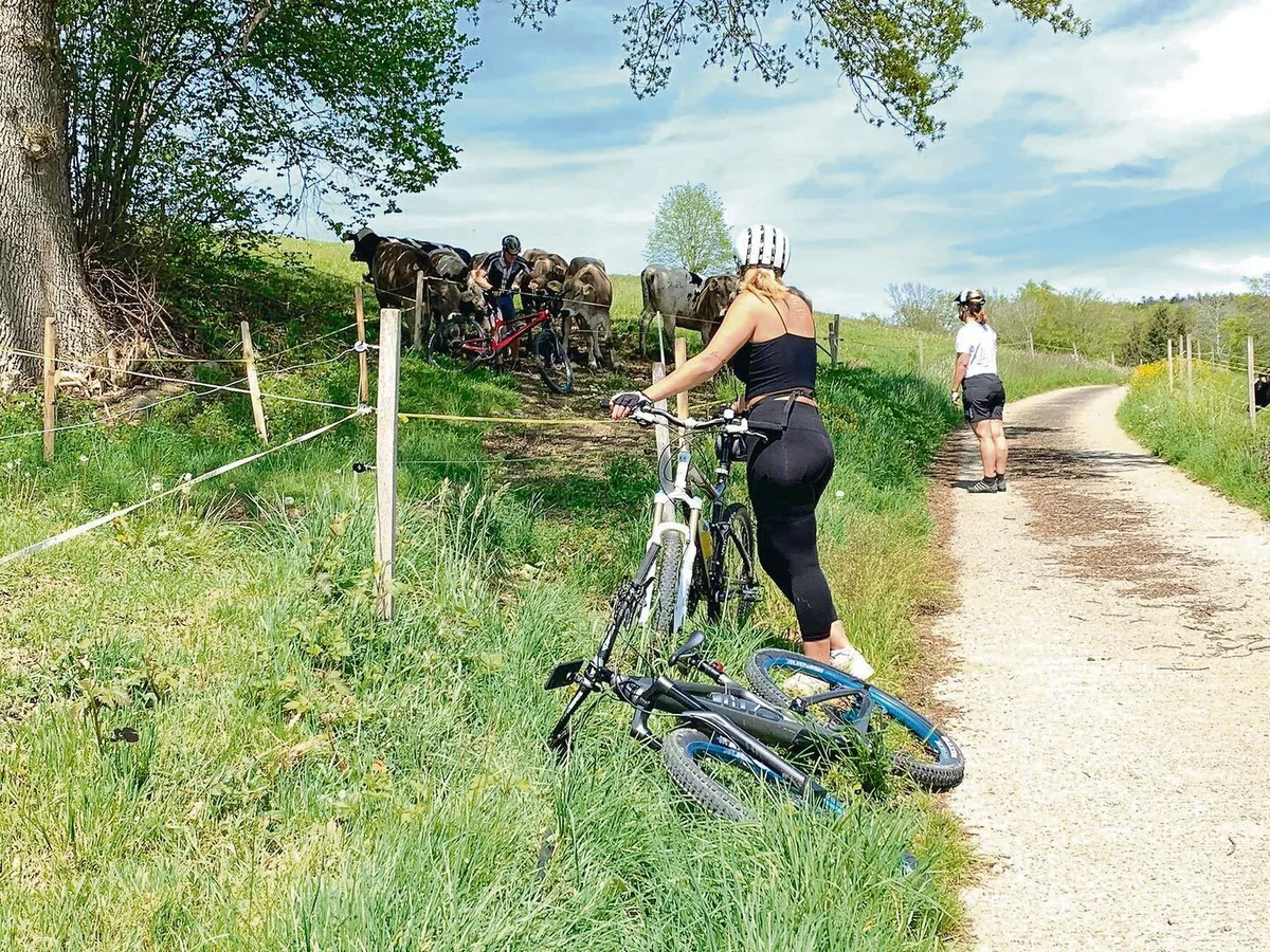 97d67520256a5cfa6eca02572d3b551f94e3d1ef423066d2c63c7921c64bfe1e Biken ohne Grenzen? Wenn Rinderweiden als Bikewege genutzt werden, kann dies zu Konflikten führen.