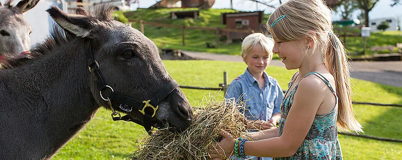 5e34ba1c3e6a41b944307e16d92a211f22be9557 Mit Agrotourismus-Angeboten kann man die Landwirtschaft hautnah erleben. (Bild myfarm.ch)