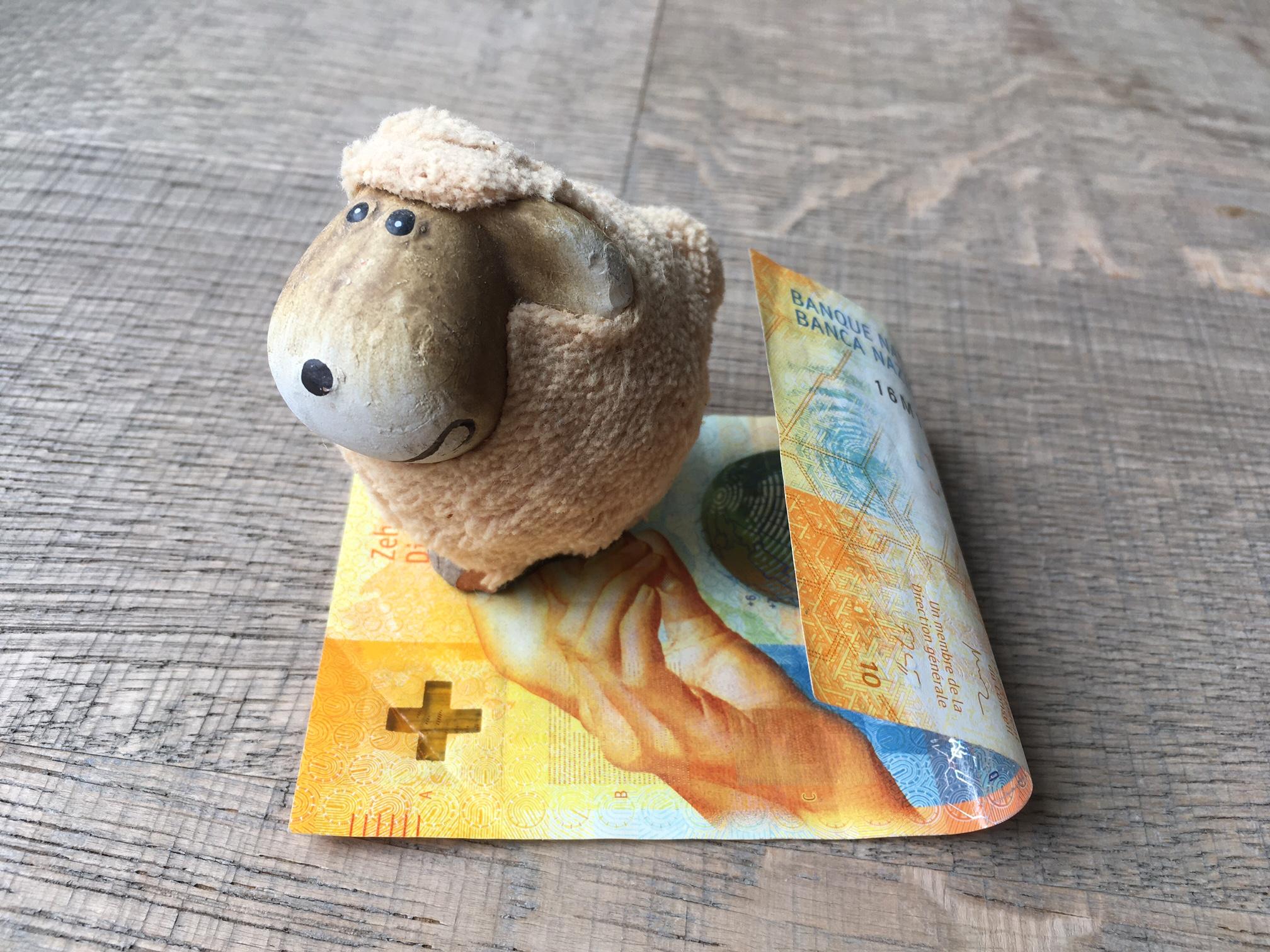 2021 wird es auch mehr finanzielle Unterstützung für die Sömmerung, bzw. den Herdenschutz geben. (Symbolbild jsc)
