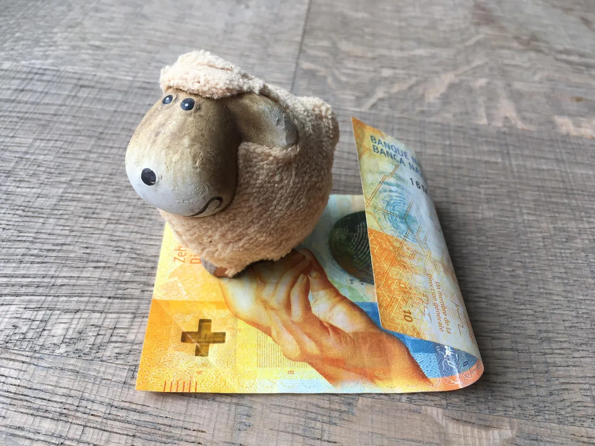 eaa858aafdd19a98ca4e97a31dc353a8f23b7e8e 2021 wird es auch mehr finanzielle Unterstützung für die Sömmerung, bzw. den Herdenschutz geben. (Symbolbild jsc)