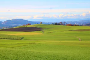 Auf rund einem Drittel der Schweizer Landesfläche wird Landwirtschaft betrieben. Zusätzlicher Schutz der Biodiversität hierzulande geht daher nicht ohne Einbezug der Produktion, die wiederum von Konsum und Handel abhängt – es geht um die ganze Wertschöpfungskette.