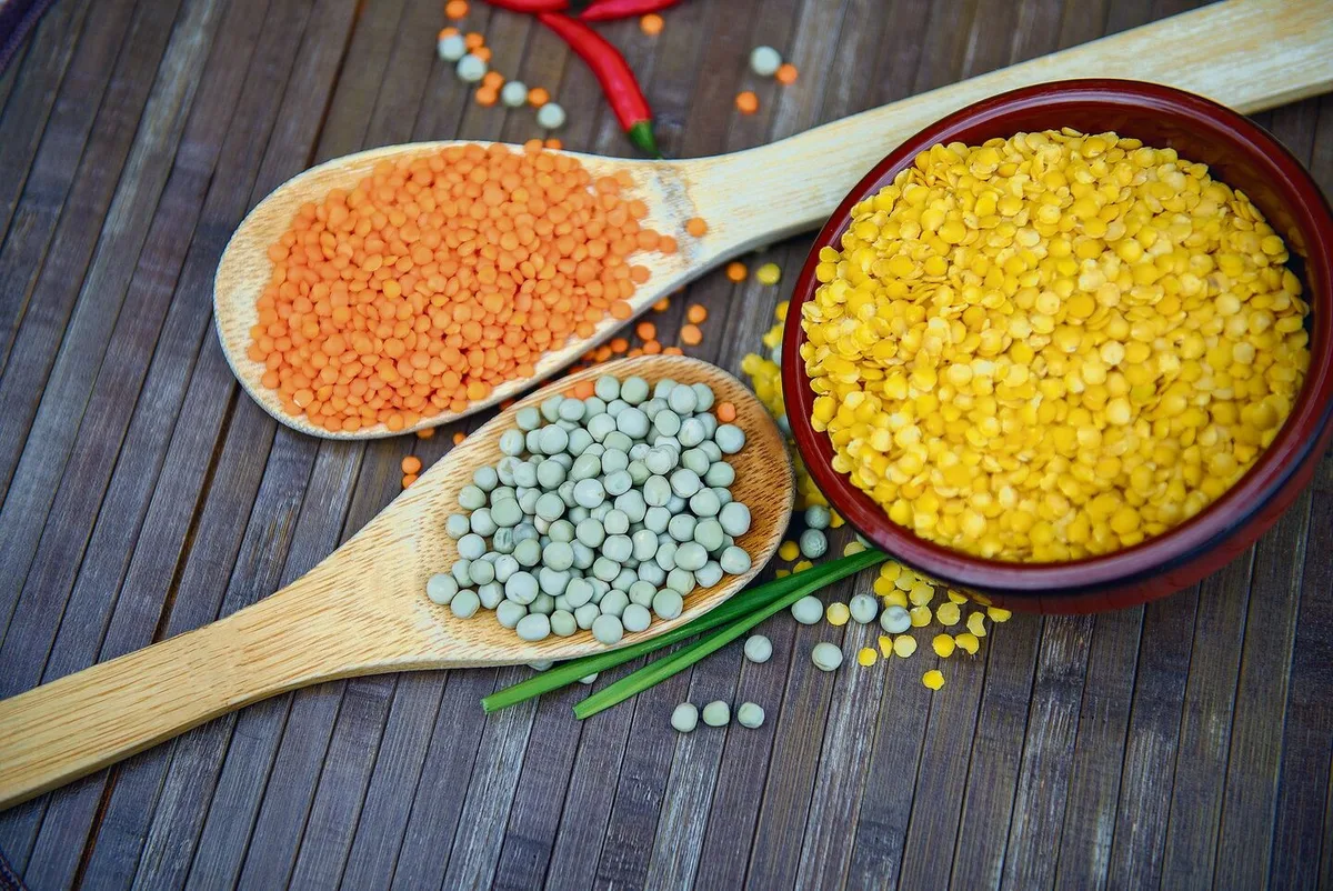 Bunte Vielfalt: Erbsen, Lupinen, Ackerbohnen, Saubohnen, Gartenbohnen, rote, schwarze, grüne und gelbe Linsen, Kichererbsen, Sojabohnen. Es gibt viele Sorten und Variationen.