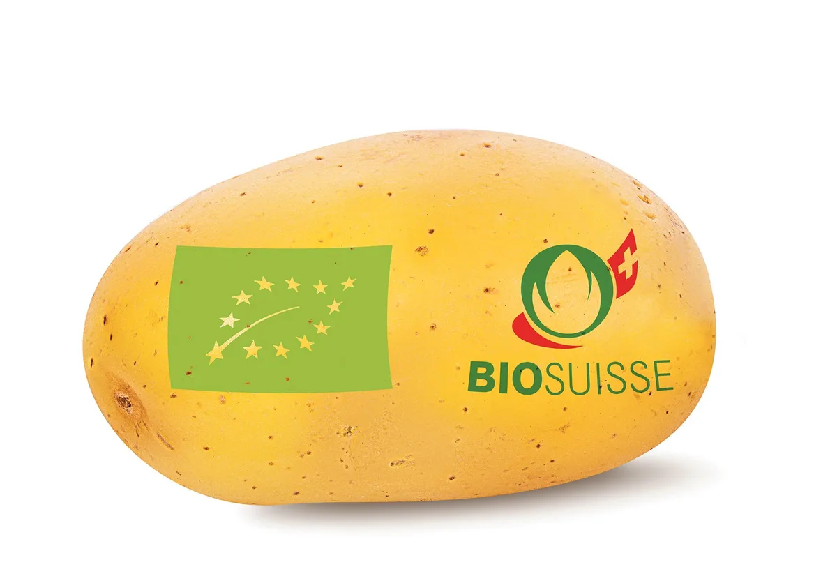 2d27a4a1a1a26de005f4ff0e9258930ef4d7c4ca Für die Bio-Produktion gelten in der EU und in der Schweiz ähnliche Grundsätze. Einzelne Labels, wie etwa Bio Suisse, geben jedoch bedeutend strengere Regeln vor. (Bild BauZ)