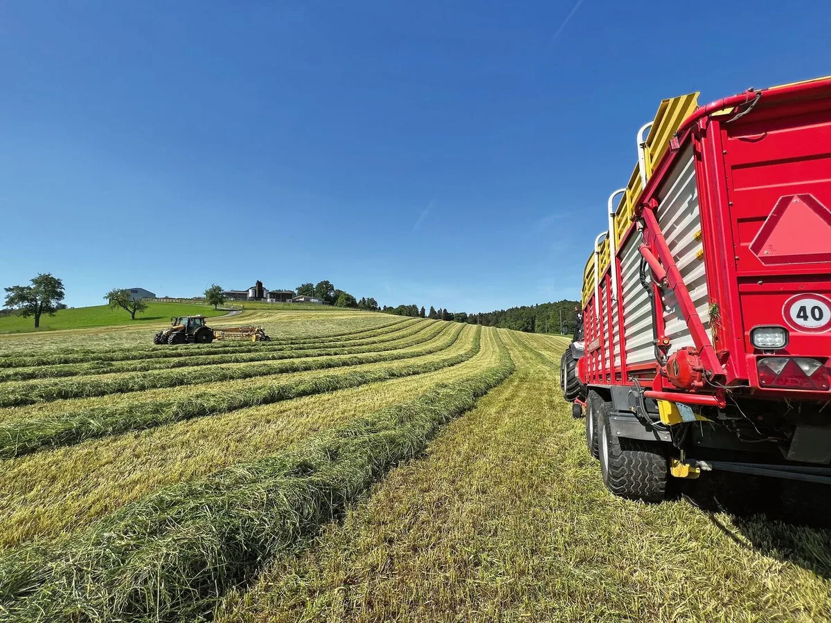 4ddb0abac2b562af47fe7a70fed4e81d907a92d3b9d68e763a8c4d766ac9aa53 Tagebuch: Auf der Stöckweid werden Erdbeeren gepflückt und neue Spargeln gesetzt