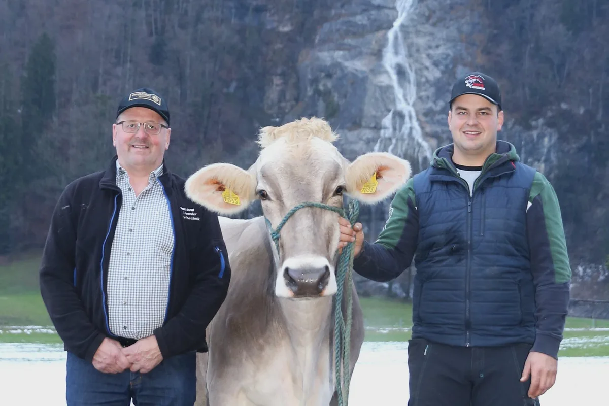 ZS_B_50_Schwyzer_Vieh_79_ Dario Gwerder und seine Kühe sind erstmals an der Schwyzer Braunviehschau