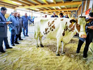 Die öffentlichen Märkte sind ein wichtiges Instrument bei der Preisbildung für Rindvieh. Die Inlandleistung leistet hierzu einen wichtigen Anreiz.