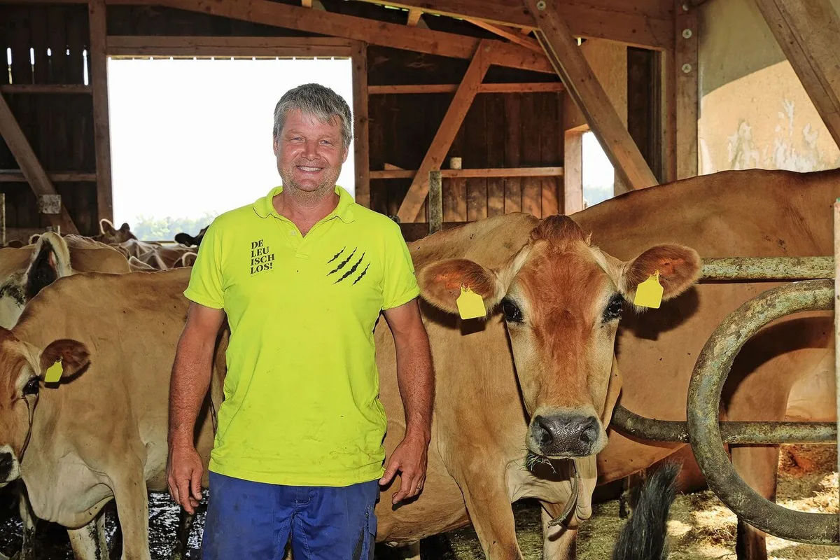 Jürg Sprenger inmitten seiner Jersey-Milchkühe. 350 000 kg Milch produziert die 83-köpfige Herde im Jahr, mit Vollweide, Heu und ohne Kraftfutter. In den Stall gehen die Tiere im Sommer nur, um der Mittagshitze zu entfliehen.