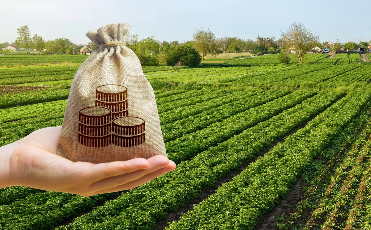 AdobeStock_446651504 Agroscope-Studie: Wer umweltschonend produziert, kann gleichzeitig besser verdienen
