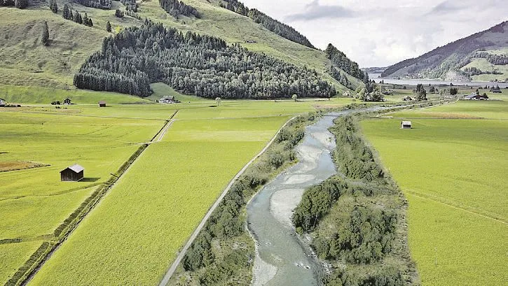 5a71c247606d7d4d3de2a820d72128d36d0218b7 Der Bach Minster zum Sihlsee könnte in den nächsten Jahren so renaturiert werden. (Bild Newsletter Etzelwerk)