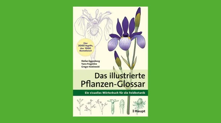 ac5501d4f62f8abb57d02062ffcf98beab295ce8 Bereits das Buchcover ist hübsch illustriert. (Bild Haupt Verlag)