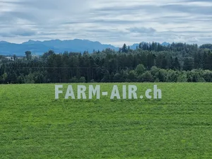Noch steht auf der künftigen Open-Air-Kino-Wiese Gras. Doch bereits am 18. und 19. August steht hier eine grosse Leinwand und es fahren die Traktoren vor.