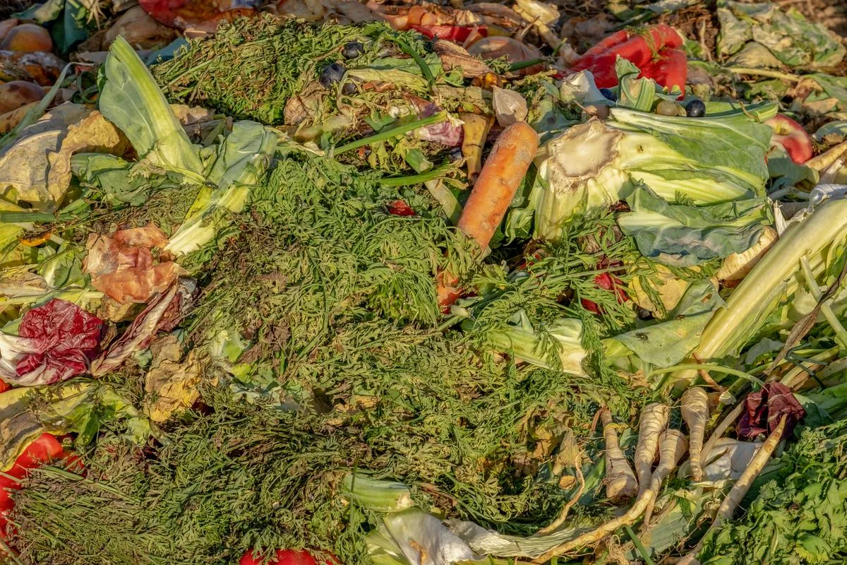 Food_Waste-1200px Gemüseproduzenten wünschen sich einen fairen Markt und weniger Lebensmittelverluste