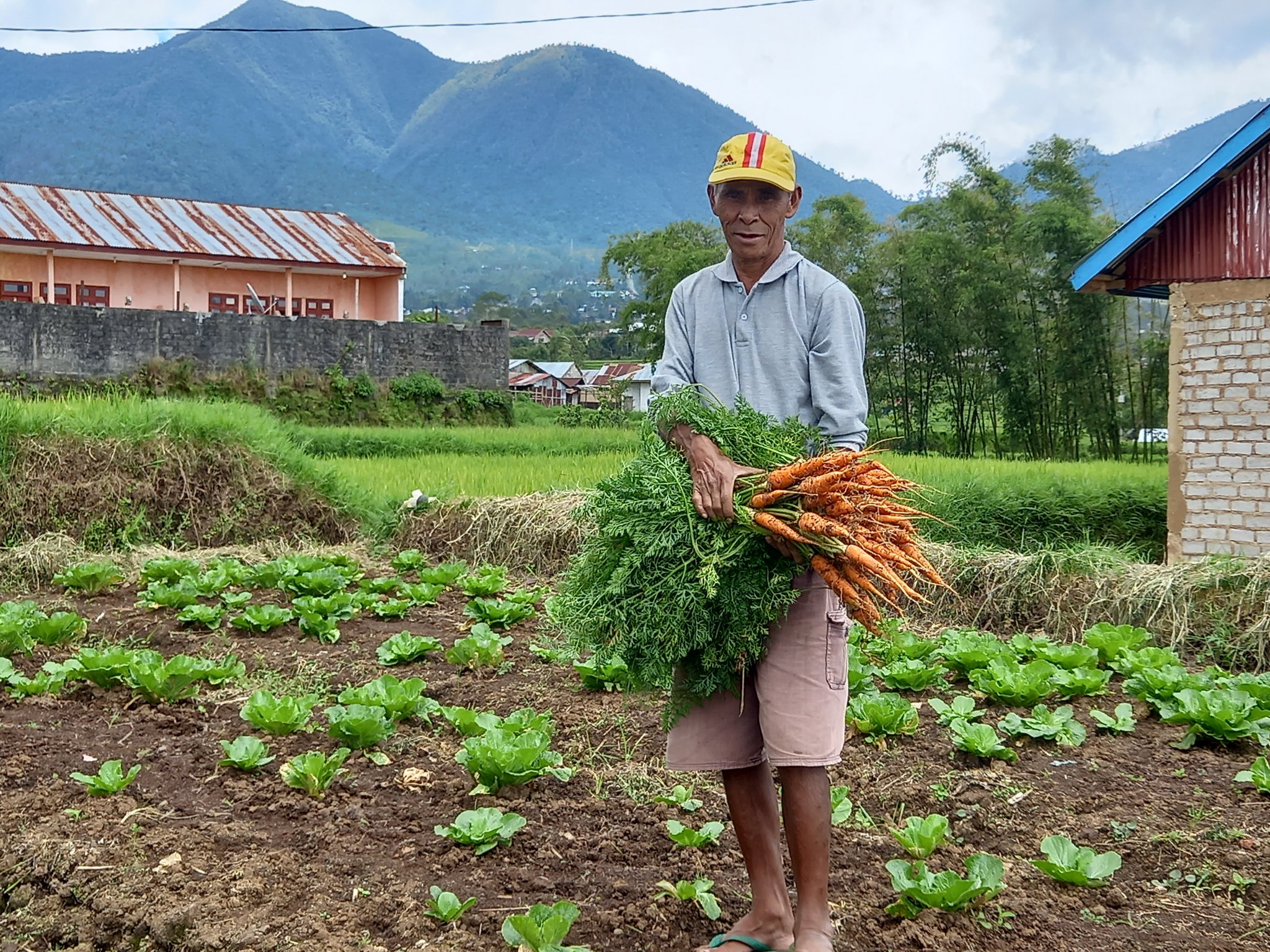 Wie in Indonesien der Anbau von eigenem Gemüse gegen Armut hilft