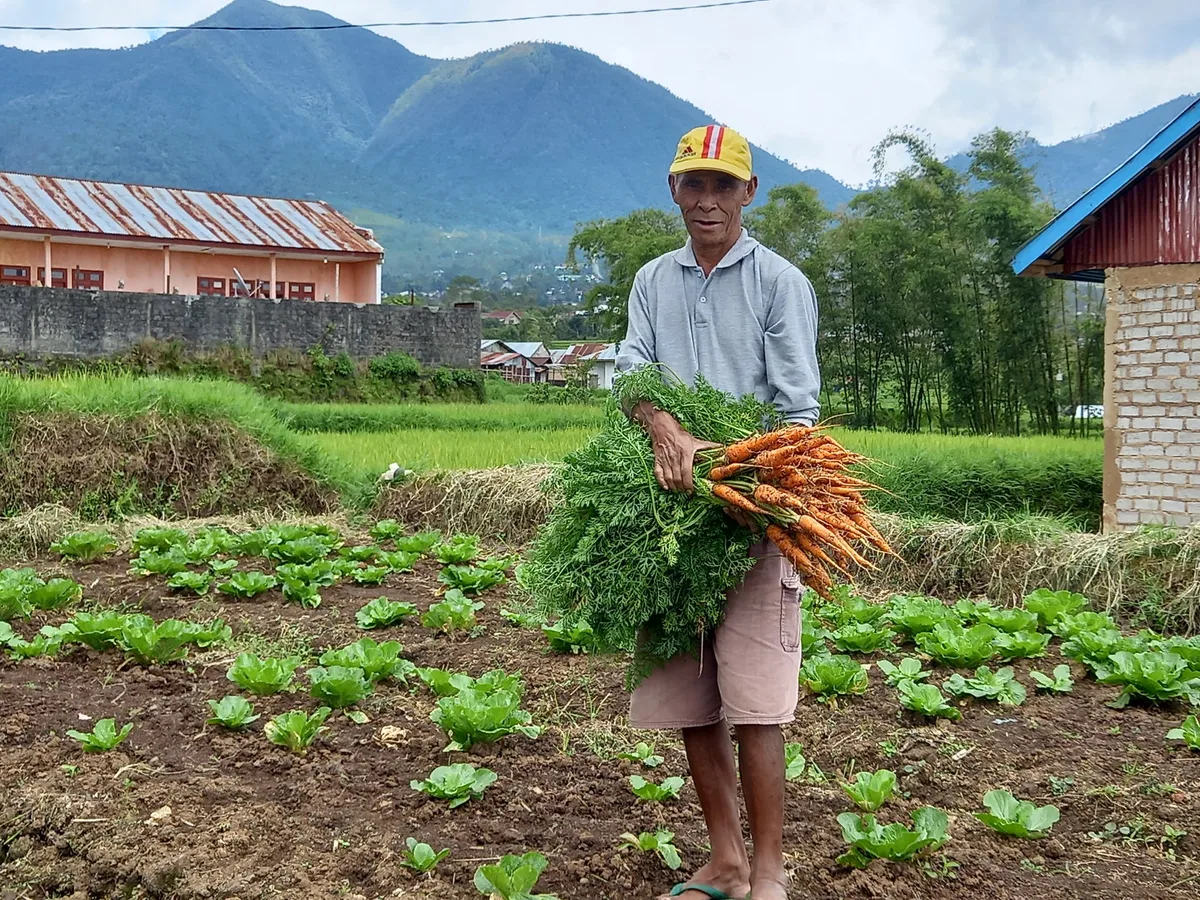 Herman_Jehamu Wie in Indonesien der Anbau von eigenem Gemüse gegen Armut hilft