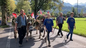 Die beiden Älpler Remo Walliman (links) und sein Vater Peter (zweiter von rechts) treffen mit der Herde und weiteren Helfern in Giswil ein.
