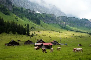 Milchproduzenten sollten wenn möglich in den Agrotourismus einsteigen, wenn sie ihr Einkommen steigern wollen. Das zeigt die neue Agroscope-Studie. (Bild Agroscope)