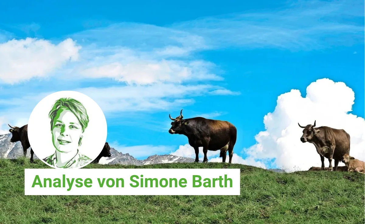 Artikel_Analyse_BauZ Neue Seuchengefahr durch Klimawandel: Die Schweiz steht unter Druck