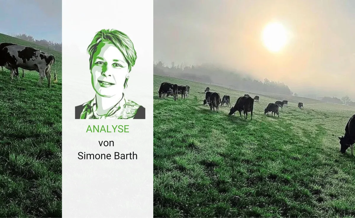 Artikel_Analyse_BauZ_BarthBlauZunge Seuchen bedrohen die Schweizer Landwirtschaft in ihrer Grundstruktur