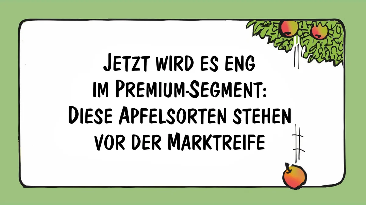 0dd3f462bace7f97c0ee07861b4cfa4fe9969f23 Sensationelle neue Apfelsorten – Cartoons von Marco Ratschiller / Karma