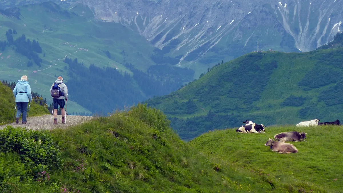 f095795d6ac7ad05589f22c85a3c19a4398bb022 Beim Wandern im Weidegebiet sollte man grundsätzlich einen grossen Bogen um die Rinderherden machen, um Unfälle zu vermeiden. (Bild pixapay)