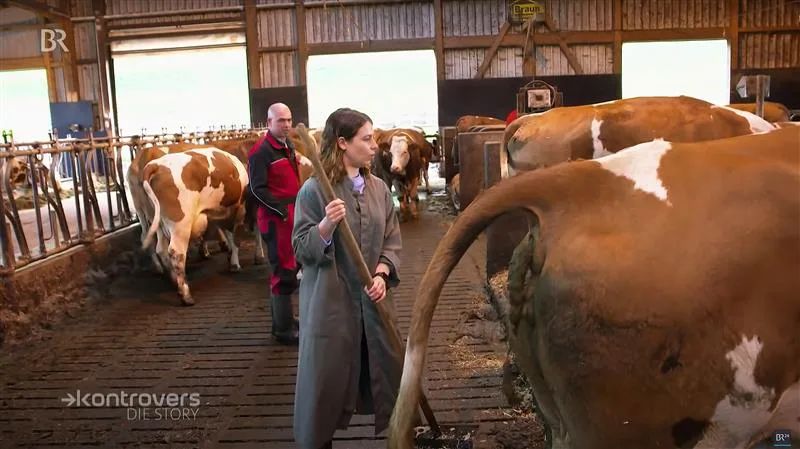 screenshot-br-video Deutsches Fernsehen schickt grüne Politikerin in den Stall