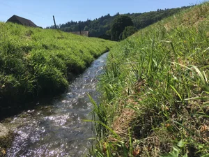 Es braucht nur kleine Mengen Gülle, um dem. Leben unter Wasser zu schaden. Vorsicht ist nicht nur bei der Einhaltung von Pufferstreifen geboten, sondern auch beim Umpumpen.