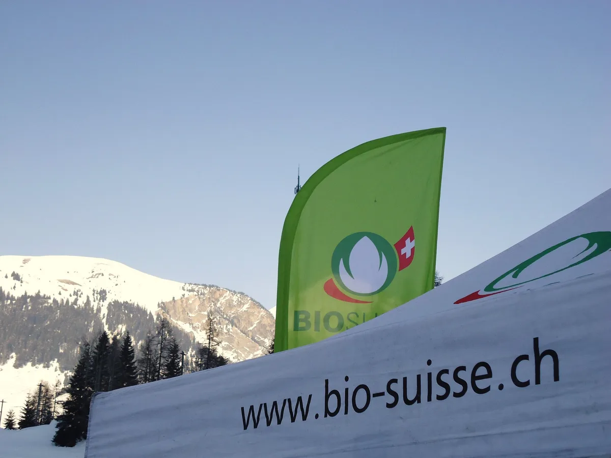 Der Produzentenpreis für Bio-Milch steigt um 4 bis 5 Rappen