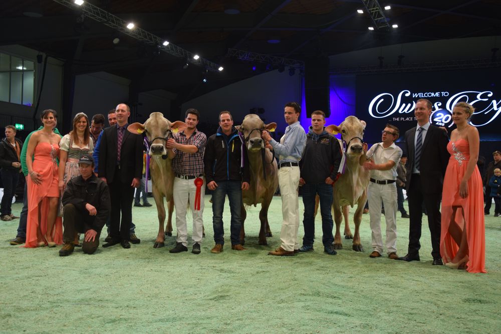 Grand Champion (links): Schmibach's Jongleur Jacqueline, WTS-Genetics Menznau. Reserve Grand Champion (Mitte): Schmibach's Collection Corella, Beni Schmid/Koni Pfulg, Schüpfheim.  Mention Honorable (rechts): Plantahof's Zeus Palma, LBBZ Plantahof, Landquart. (Bilder Peter Fankhauser)