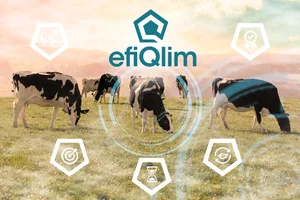Einfach und effizient soll EfiQlim sein, verspricht Holstein Switzerland. Es werde aber nicht das Zuchtprogramm nach dem ISET-Index beeinträchtigt.