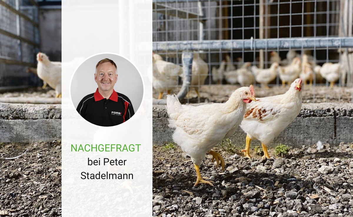 «Wir hatten immer wieder Kunden, die uns auf das Kükentöten angesprochen haben»