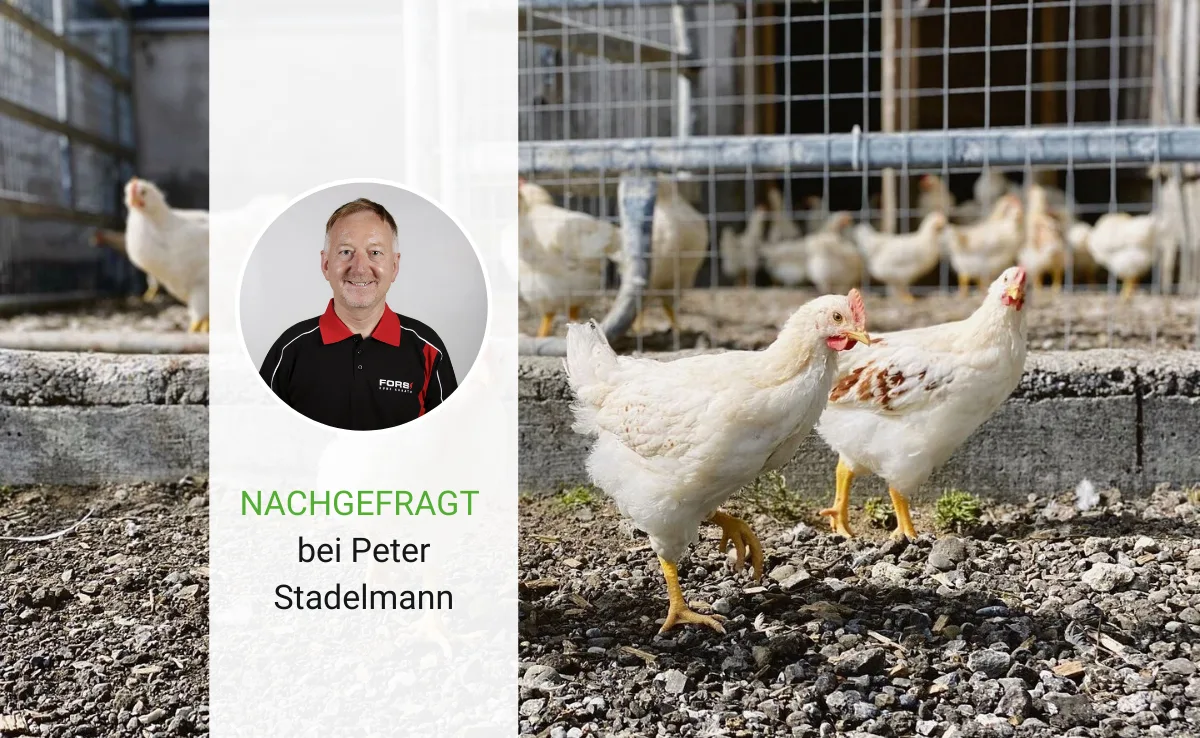 nachgefragt-stadelmann «Wir hatten immer wieder Kunden, die uns auf das Kükentöten angesprochen haben»