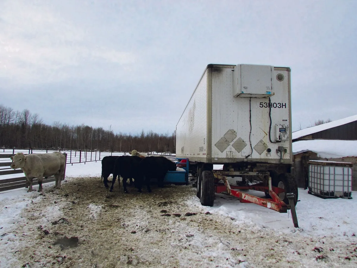 Der eingebaute dieselbetriebene Generator hat einen 12 000-Liter-Tank, inklusive Zu- und Ableitungen. Das Innere des Lastwagen-Anhängers wurde bisher frostfrei gehalten und die Kühe bekommen Wasser ohne Verzögerungen.