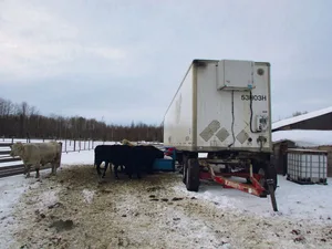 Der eingebaute dieselbetriebene Generator hat einen 12 000-Liter-Tank, inklusive Zu- und Ableitungen. Das Innere des Lastwagen-Anhängers wurde bisher frostfrei gehalten und die Kühe bekommen Wasser ohne Verzögerungen.