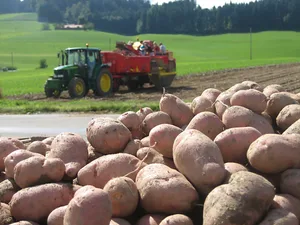 Der Kartoffelanbau war zuletzt ziemlich herausfordernd.